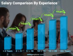 Business Intelligence Analyst Average Salary in Vietnam 2022 The